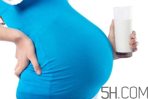 孕婦奶粉能加糖嗎？孕婦奶粉能不能加蜂蜜？