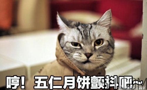 十仁月餅是哪十仁？十仁月餅好吃嗎
