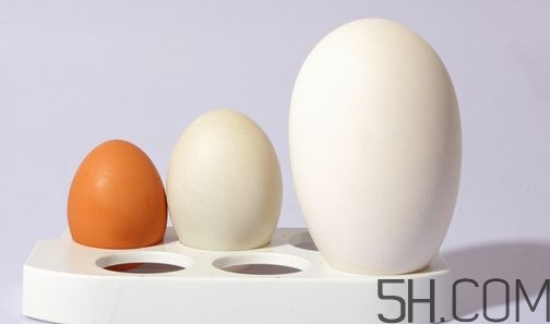 孕婦什么時(shí)候去胎毒？可以喝中藥去胎毒嗎？