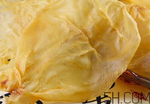 魚膠是魚泡嗎？魚膠是海鮮嗎
