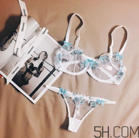 agent provocateur什么價(jià)位？agent provocateur內(nèi)衣價(jià)格