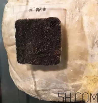 牛百葉和毛肚是一個東西嗎？牛百葉上面有層黑皮能吃嗎？