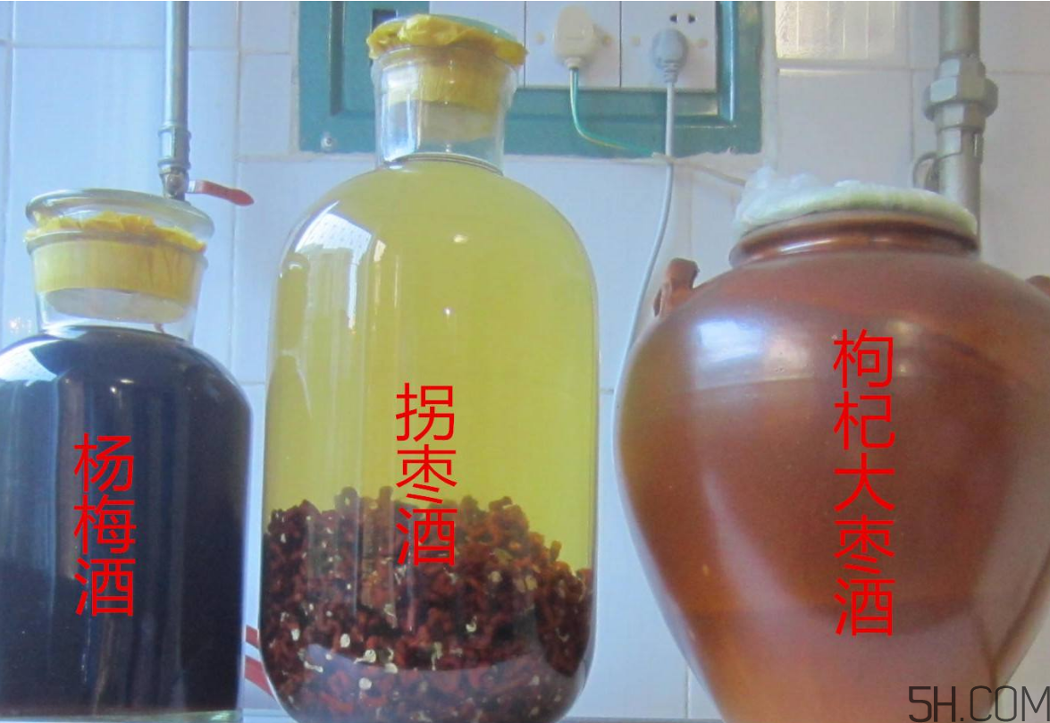 拐棗能泡酒嗎？拐棗能和蜂糖一起泡酒嗎？