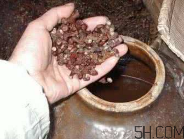 拐棗能泡酒嗎？拐棗能和蜂糖一起泡酒嗎？