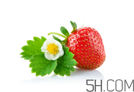 吃了發(fā)霉的草莓怎么辦？怎樣挑選草莓？