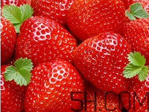 草莓都有哪些熱門品種？草莓怎么放不容易壞？