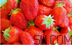 草莓都有哪些熱門品種？草莓怎么放不容易壞？