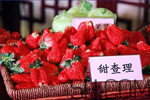 草莓都有哪些熱門品種？草莓怎么放不容易壞？