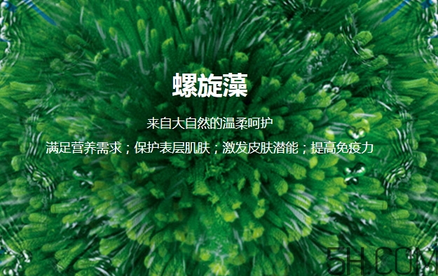 lantern蘭亭是什么牌子？蘭亭是哪個(gè)國(guó)家的什么檔次