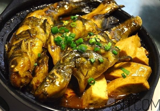 黃骨魚有刺嗎？黃骨魚有毒嗎？