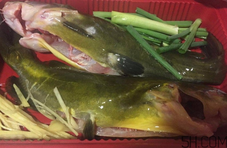 黃骨魚湯下奶嗎？黃骨魚湯的做法 