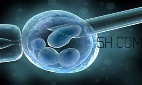 人工授精取卵子怎么取？人工授精男人怎樣取精？