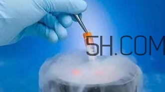 試管嬰兒有什么風(fēng)險？試管嬰兒長大后的弊端