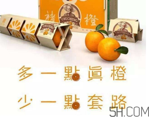 褚橙真的那么好吃嗎？褚橙哪里可以買到