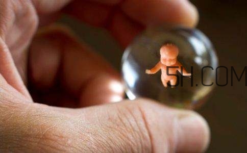 人工授精取卵子怎么?。咳斯な诰腥嗽鯓尤【?？