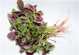 莧菜是酸性還是堿性？吃莧菜有什么好處？