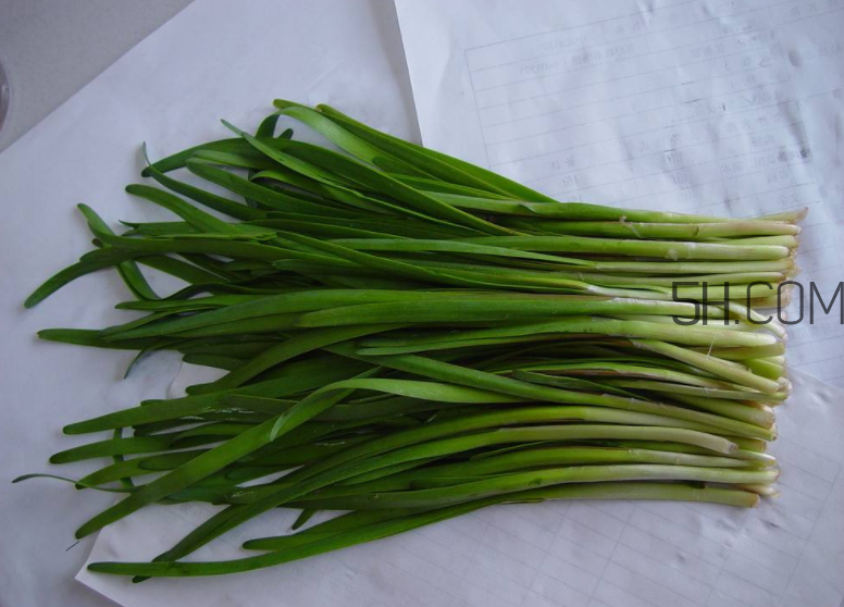 韭菜怎么保存？韭菜傷胃嗎？
