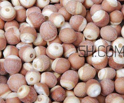 芡實(shí)是中藥嗎？芡實(shí)哪里可以買到