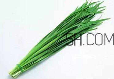 立秋后可以種韭菜嗎？怎樣種韭菜？