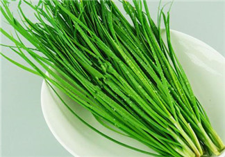 立秋后可以種韭菜嗎？怎樣種韭菜？