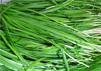 秋天吃韭菜好嗎？韭菜和莧菜能一起吃嗎？