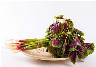 莧菜為什么是紅的？莧菜是涼性的嗎？