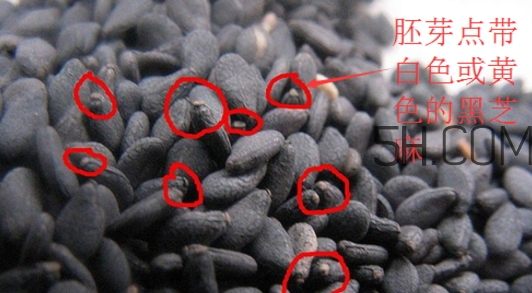 黑芝麻清洗掉色正常嗎？黑芝麻有黑色素嗎？