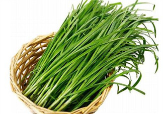 韭菜種植條件有哪些？韭黃和韭菜的區(qū)別