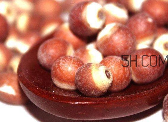 芡實(shí)營養(yǎng)價(jià)值有哪些？芡實(shí)哪里的最好