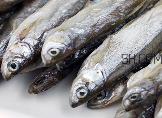 刁子魚是淡水魚嗎？刁子魚怎么釣