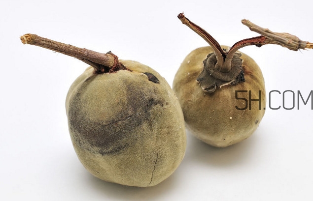 猴面包樹果實(shí)好吃嗎？猴面包樹果實(shí)怎么吃