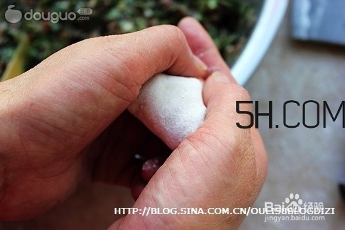 怎么包餃子快又好看？十種家常包餃子的方法~