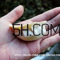 怎么包餃子快又好看？十種家常包餃子的方法~