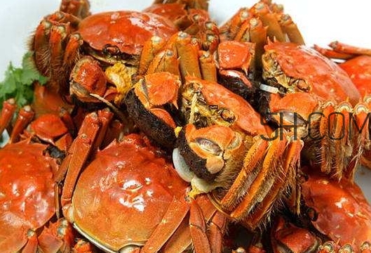 孕婦吃螃蟹多久流產(chǎn)？孕婦吃多少螃蟹會(huì)流產(chǎn)？