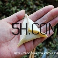 怎么包餃子快又好看？十種家常包餃子的方法~