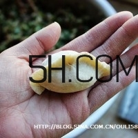 怎么包餃子快又好看？十種家常包餃子的方法~