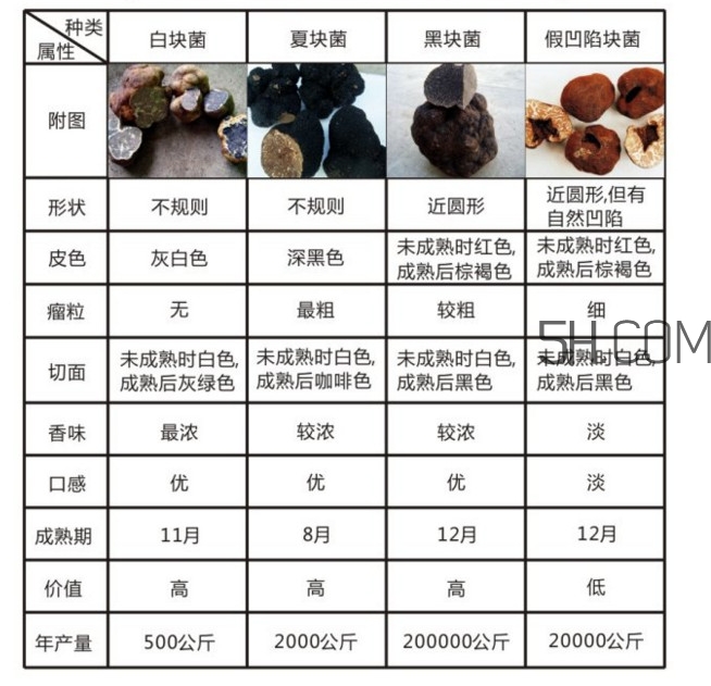 松露怎么分辨真假？松露怎么清洗