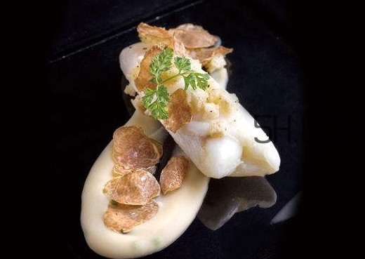 白松露是什么？白松露的功效與作用