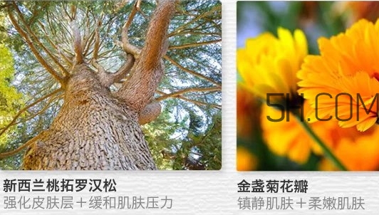 the saem得鮮眼霜適合什么年齡？得鮮眼霜怎么樣？