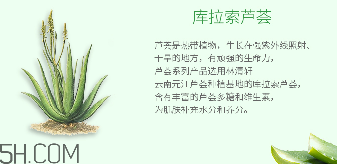 林清軒蘆薈面膜泥怎么樣？林清軒蘆薈面膜泥測評