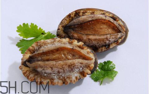 鮑魚(yú)吃了會(huì)上火嗎？鮑魚(yú)是發(fā)物嗎？