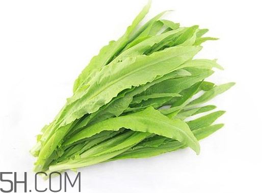 油麥菜是轉(zhuǎn)基因蔬菜嗎？油麥菜是發(fā)物嗎