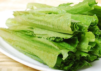 油麥菜不能和什么一起吃？油麥菜什么人不能吃