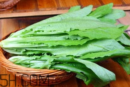 油麥菜是轉(zhuǎn)基因蔬菜嗎？油麥菜是發(fā)物嗎