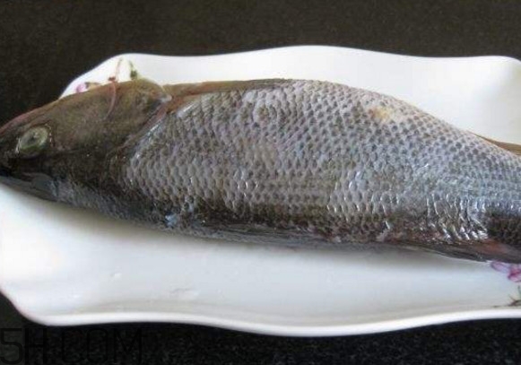 鮭魚是三文魚嗎？鮭魚的營養(yǎng)價值