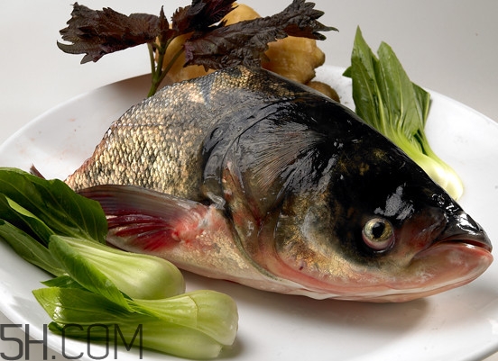 胖頭魚(yú)有什么營(yíng)養(yǎng)？胖頭魚(yú)是鰱魚(yú)嗎