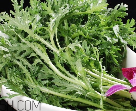 皇帝菜是什么樣子？皇帝菜又叫什么菜
