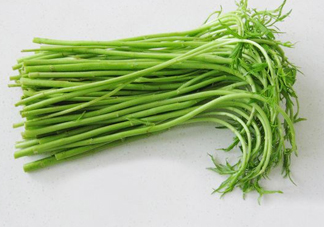 藜蒿多少錢一斤？藜蒿和蘆蒿是同一種菜嗎？