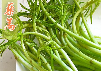 藜蒿什么季節(jié)有？藜蒿是發(fā)物嗎