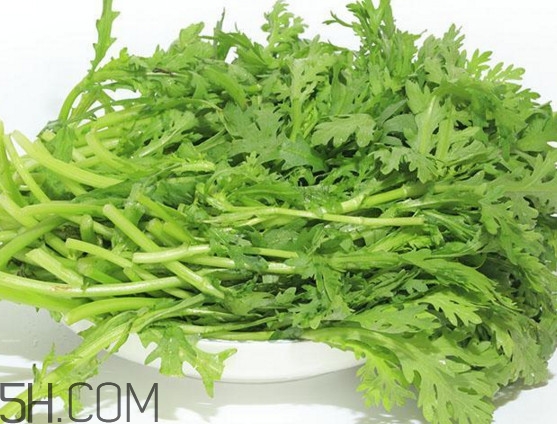 皇帝菜與什么煲湯好吃？皇帝菜性寒嗎